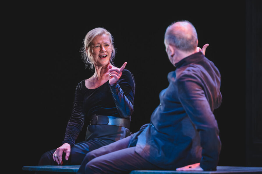 _DMC4782-Mejorado-NR