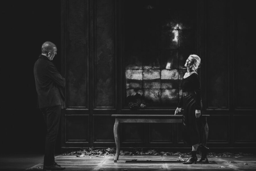 _DMC5074-Mejorado-NR